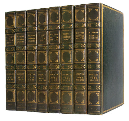 The Natural history of British Insects established Donovan's reputation. It contains high quality plates illustrating the life-cycles of the insects, 