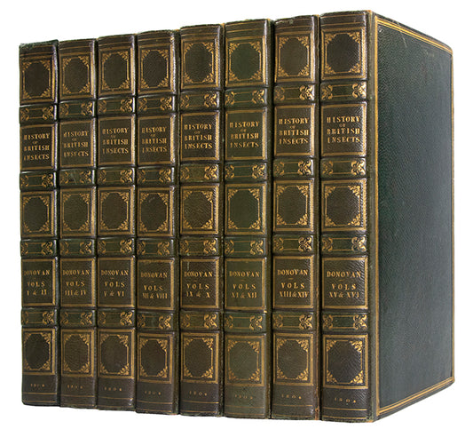 The Natural history of British Insects established Donovan's reputation. It contains high quality plates illustrating the life-cycles of the insects, 