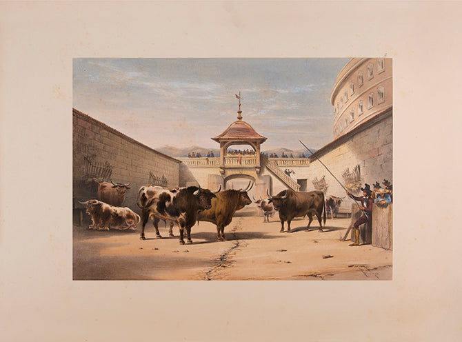 Rare issue hand-coloured on card. A handsome copy of a lively set of bull fighting plates.