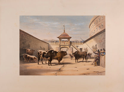 Rare issue hand-coloured on card. A handsome copy of a lively set of bull fighting plates.