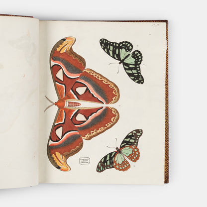 This important history of entomology, abundantly described and beautifully illustrated, is the first book on exotic butterflies using the Linnean system.