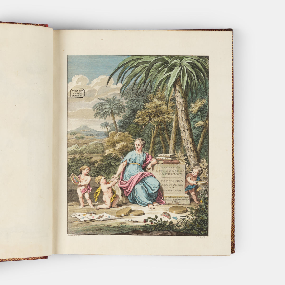 This important history of entomology, abundantly described and beautifully illustrated, is the first book on exotic butterflies using the Linnean system.