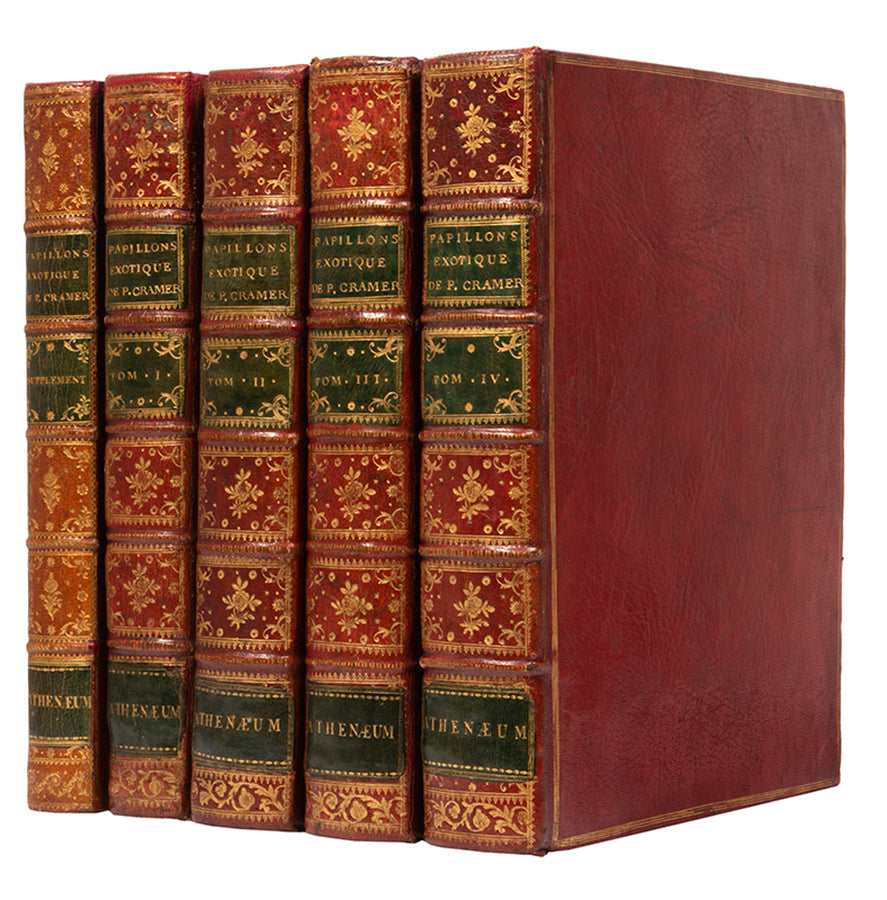 This important history of entomology, abundantly described and beautifully illustrated, is the first book on exotic butterflies using the Linnean system.