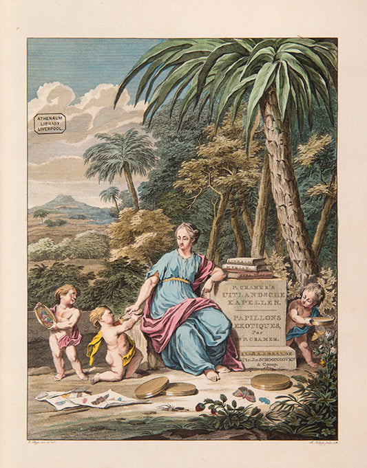 This important history of entomology, abundantly described and beautifully illustrated, is the first book on exotic butterflies using the Linnean system.