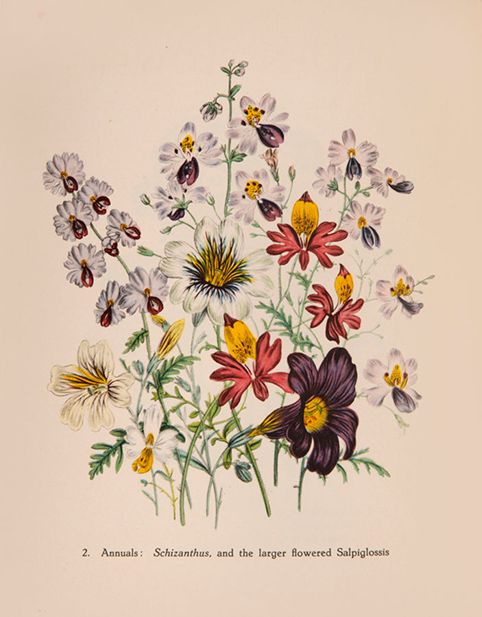 A delightful five-volume set of works from the Batsford Colour Books Series, each inscribed by Sacheverell Sitwell to his son Francis.