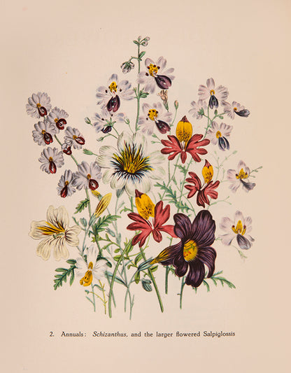 A delightful five-volume set of works from the Batsford Colour Books Series, each inscribed by Sacheverell Sitwell to his son Francis.