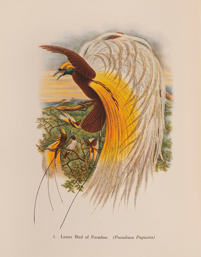 A delightful five-volume set of works from the Batsford Colour Books Series, each inscribed by Sacheverell Sitwell to his son Francis.