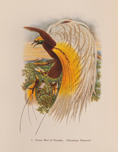 A delightful five-volume set of works from the Batsford Colour Books Series, each inscribed by Sacheverell Sitwell to his son Francis.