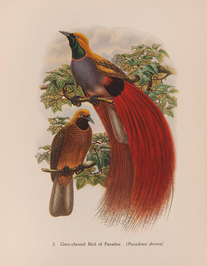 A delightful five-volume set of works from the Batsford Colour Books Series, each inscribed by Sacheverell Sitwell to his son Francis.