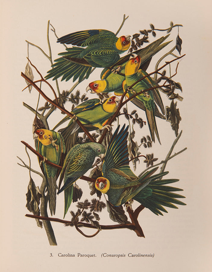 A delightful five-volume set of works from the Batsford Colour Books Series, each inscribed by Sacheverell Sitwell to his son Francis.