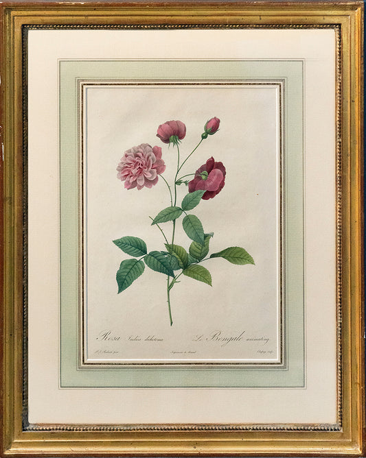 Stipple engraving, part printed in colour and finished by hand<br />Framed and glazed