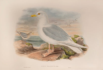 Bound in 25 original parts