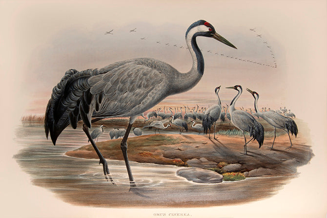 Bound in 25 original parts