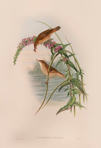 Bound in 25 original parts