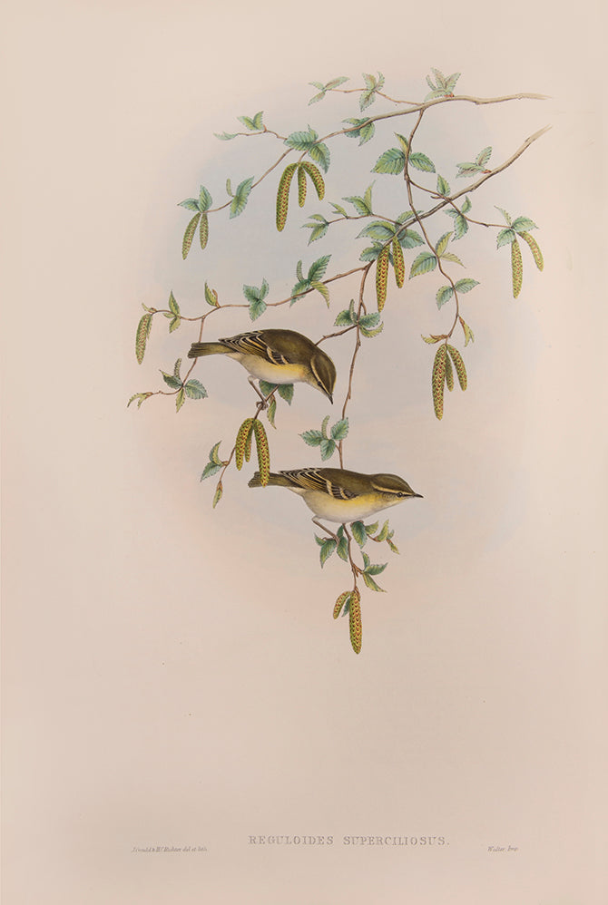 Bound in 25 original parts