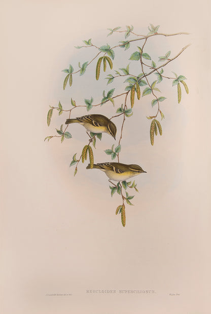 Bound in 25 original parts