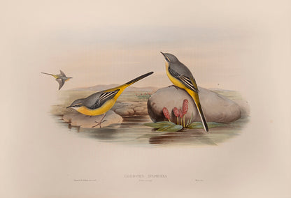 Bound in 25 original parts