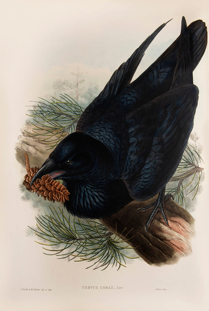 Bound in 25 original parts