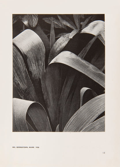 Inscribed presentation copy of the first edition of Paul Strand Photographs 1915-1945.