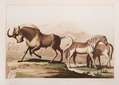 First edition, Italian text version, of Il Costume Antico e Moderno by Giulio Ferrario.
