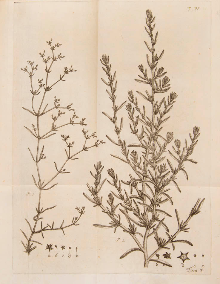 The 5 complete volumes of the Miscellanea Taurinensis, all first editions, containing some major texts by Lagrange, Euler, Cigna and others.