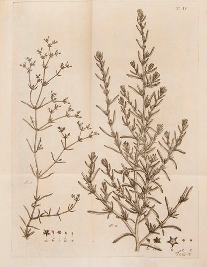 The 5 complete volumes of the Miscellanea Taurinensis, all first editions, containing some major texts by Lagrange, Euler, Cigna and others.