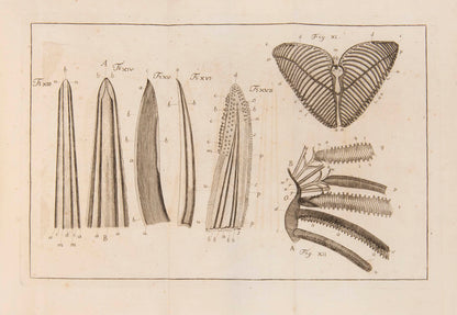 The 5 complete volumes of the Miscellanea Taurinensis, all first editions, containing some major texts by Lagrange, Euler, Cigna and others.