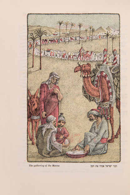Passover Haggadah with '35 coloured illustrations by Ze'ev Raban, "Bezalel" Jerusalem', and a 'Musical supplement'.