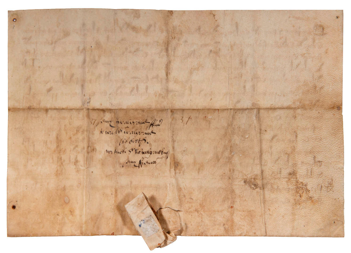 A late 13th-century gift of land from Henry de Waldegrave to his brother Walter, with clause exlcuding its future alienation to religious order and Jews.