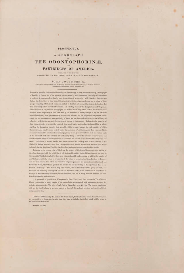Rare example in original parts of John Gould's Partridges of America.