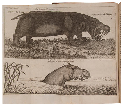 Ludolf is regarded as the father of modern Ethiopian studies, his 'New History of Ethiopia is 'full of recondite and important information'.