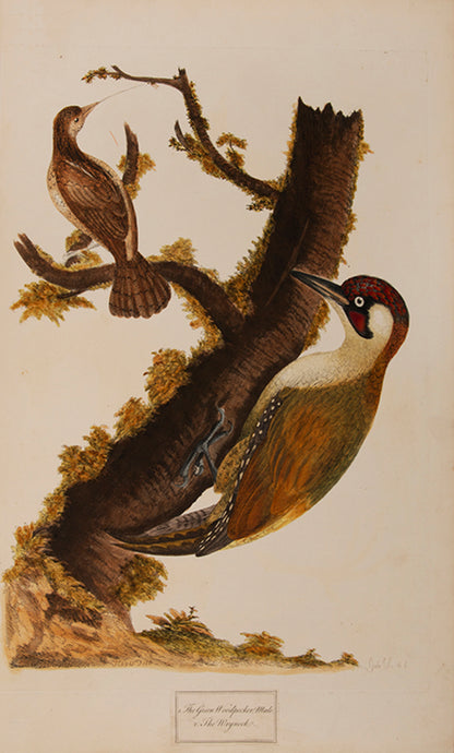 Containing 40 finely coloured plates, mostly hand signed by Hayes himself.