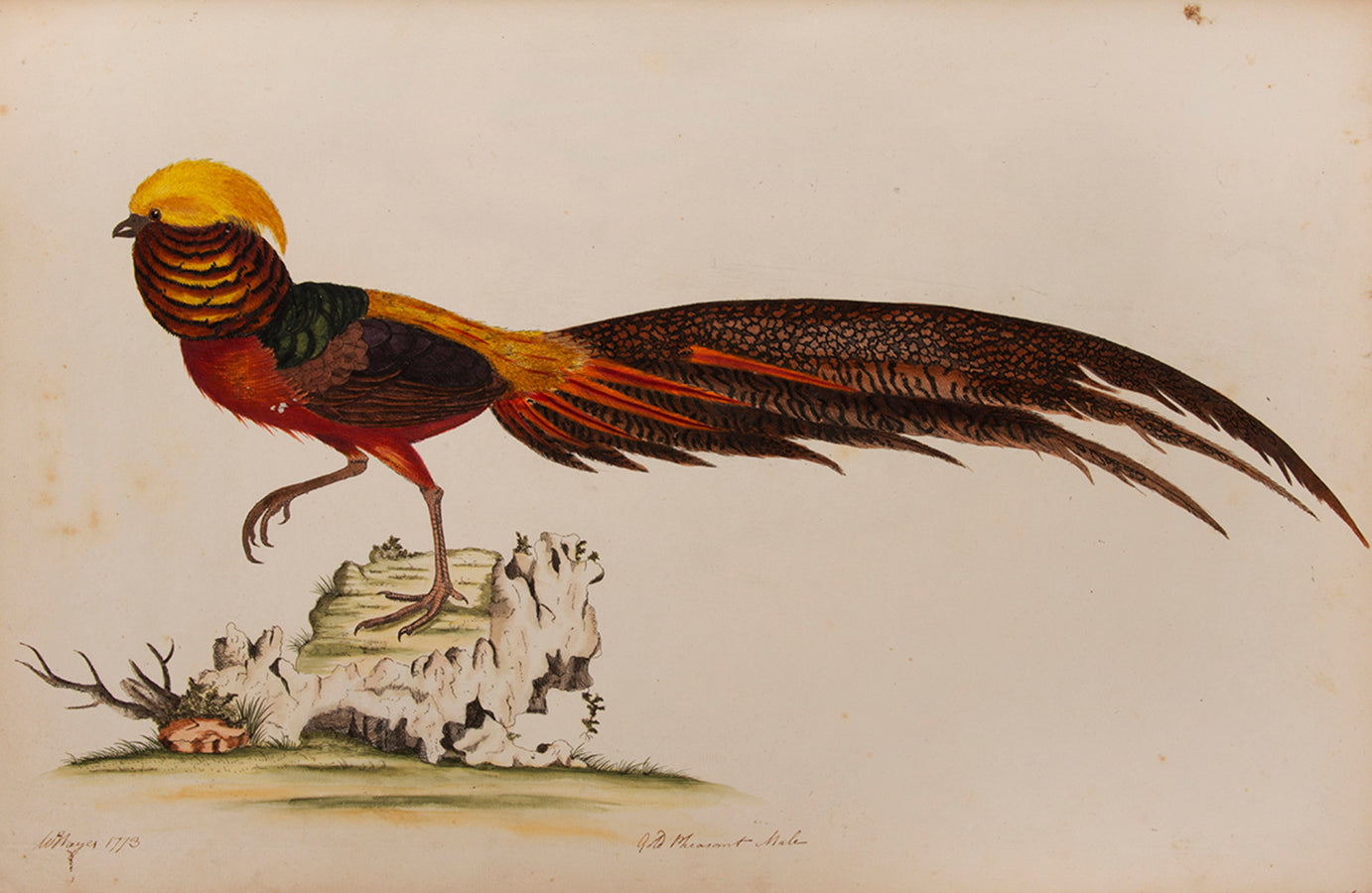 Containing 40 finely coloured plates, mostly hand signed by Hayes himself.