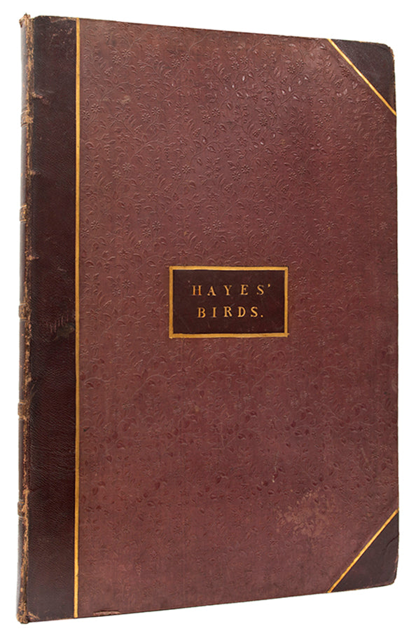 Containing 40 finely coloured plates, mostly hand signed by Hayes himself.