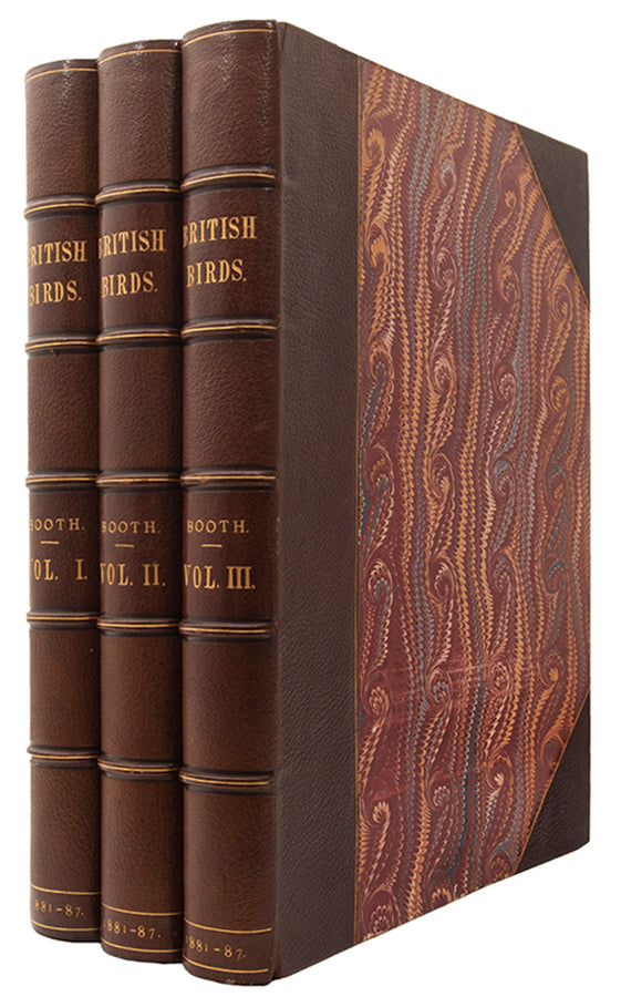 'These are very handsome folio plates whose composition is similar to those in Dresser's book' (Jackson).