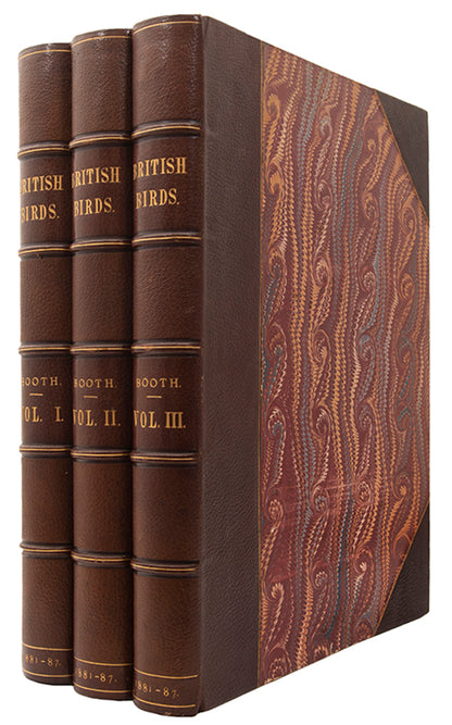 'These are very handsome folio plates whose composition is similar to those in Dresser's book' (Jackson).