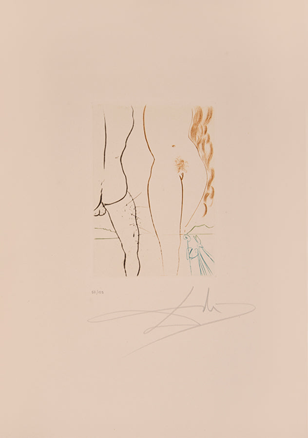 An excellent example of the complete portfolio of Boccacio's Decameron illustrated by Salvador Dali, each plate numbered 57/150 and signed by Dali.