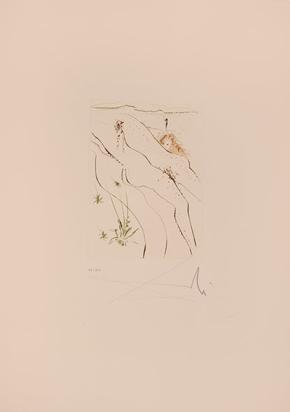 An excellent example of the complete portfolio of Boccacio's Decameron illustrated by Salvador Dali, each plate numbered 57/150 and signed by Dali.
