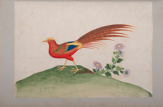 A remarkable collection of fine large format Chinese watercolours. The binder of the album, George Mullen, was the most famous bookbinder in Ireland. 