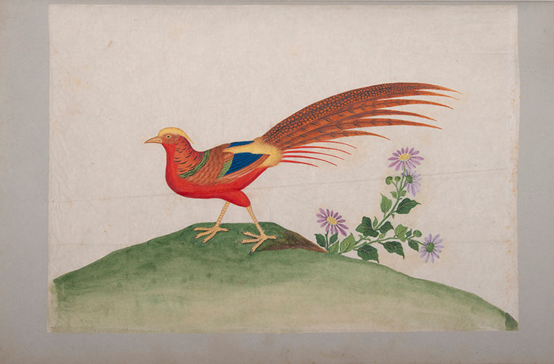 A remarkable collection of fine large format Chinese watercolours. The binder of the album, George Mullen, was the most famous bookbinder in Ireland. 