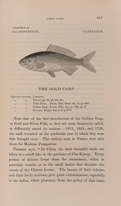 A finely bound set of Yarrell's classic works on the birds and fish of Great Britain.