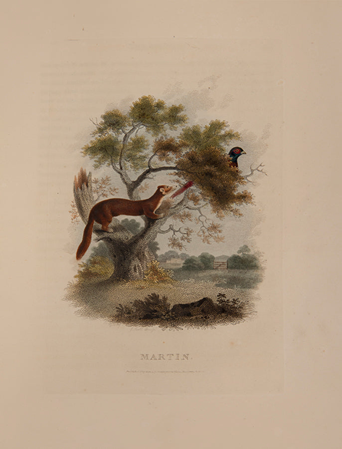 The rare hand-coloured issue of Daniel's classic compendium of field sports, which proved 'very popular among contemporary sportsmen and even naturalists