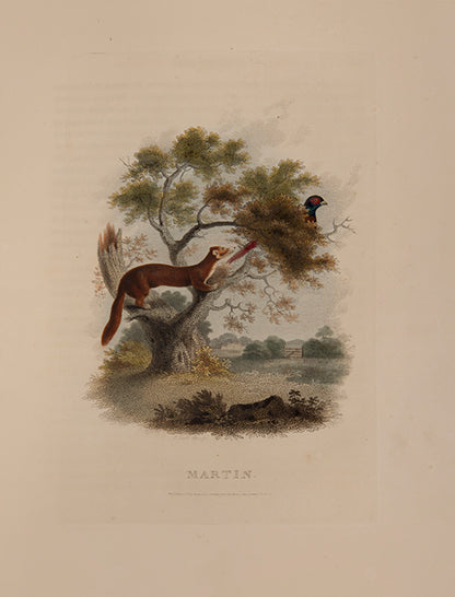 The rare hand-coloured issue of Daniel's classic compendium of field sports, which proved 'very popular among contemporary sportsmen and even naturalists