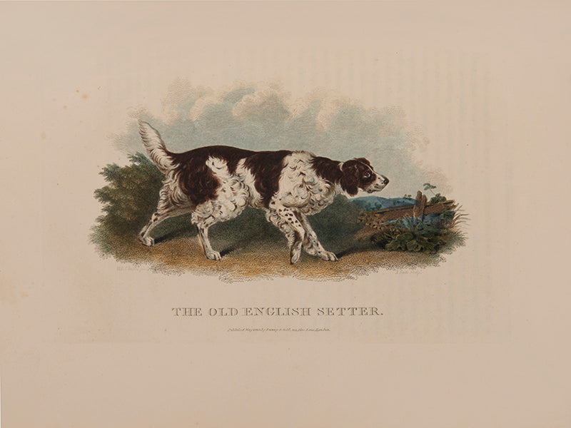 The rare hand-coloured issue of Daniel's classic compendium of field sports, which proved 'very popular among contemporary sportsmen and even naturalists