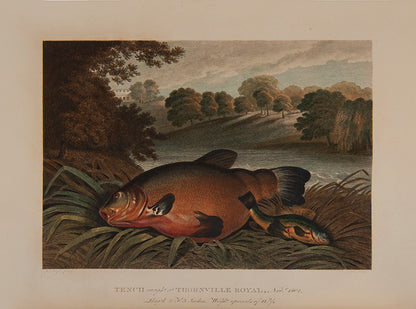 The rare hand-coloured issue of Daniel's classic compendium of field sports, which proved 'very popular among contemporary sportsmen and even naturalists
