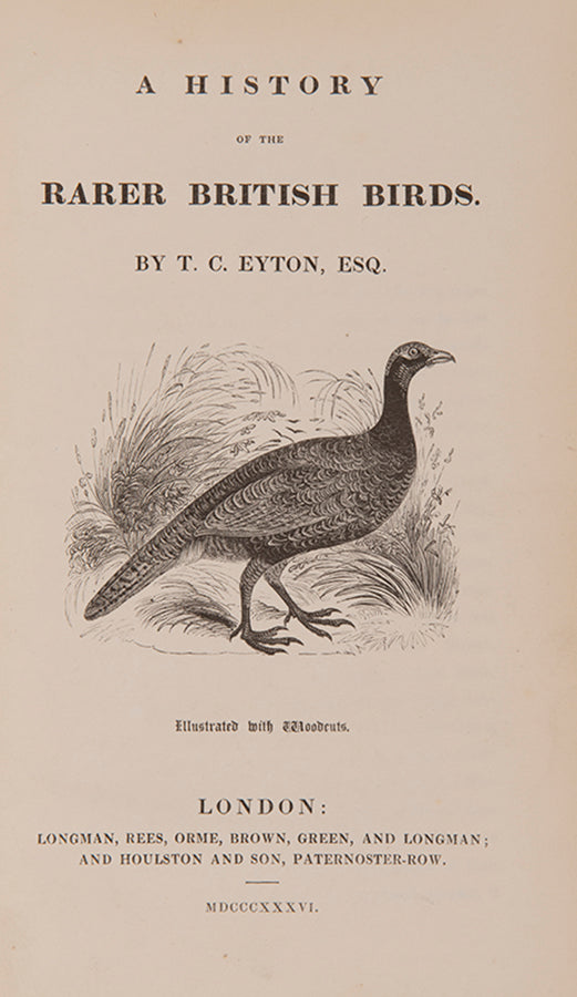 Eyton's Rarer British birds was intended as an addenda to Bewick's British Birds. The engravings are based on specimens in the author's collection.