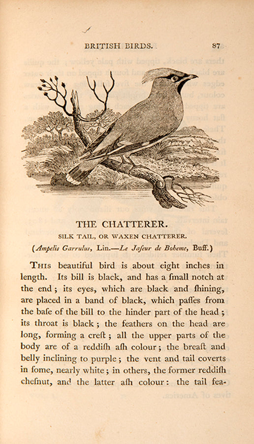 A History of British Birds.