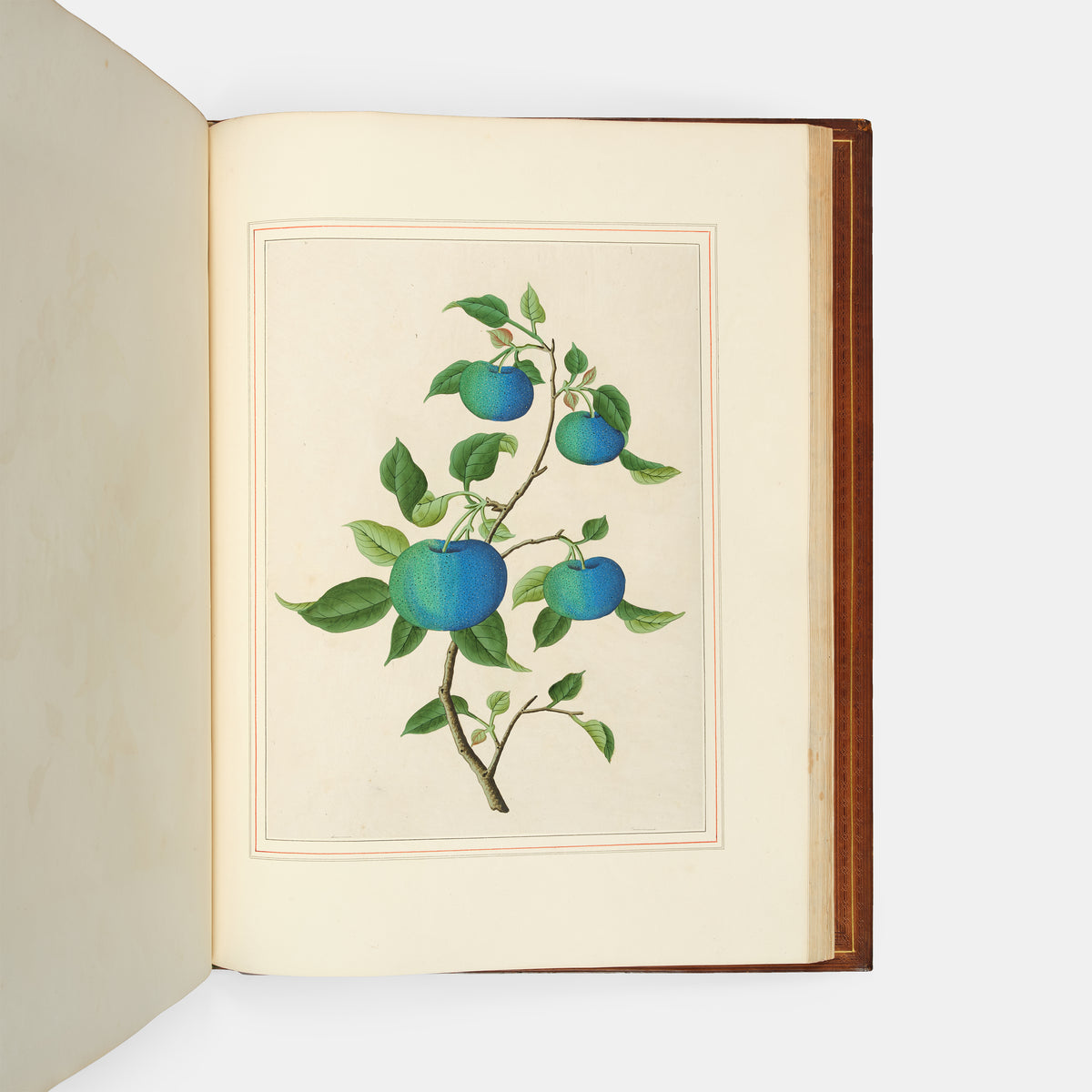 A sumptuous collection of 244 mounted watercolours depicting Chinese silkworm cultivation, birds, Asian fruits and flowers, exlibris Duke of Marlborough.