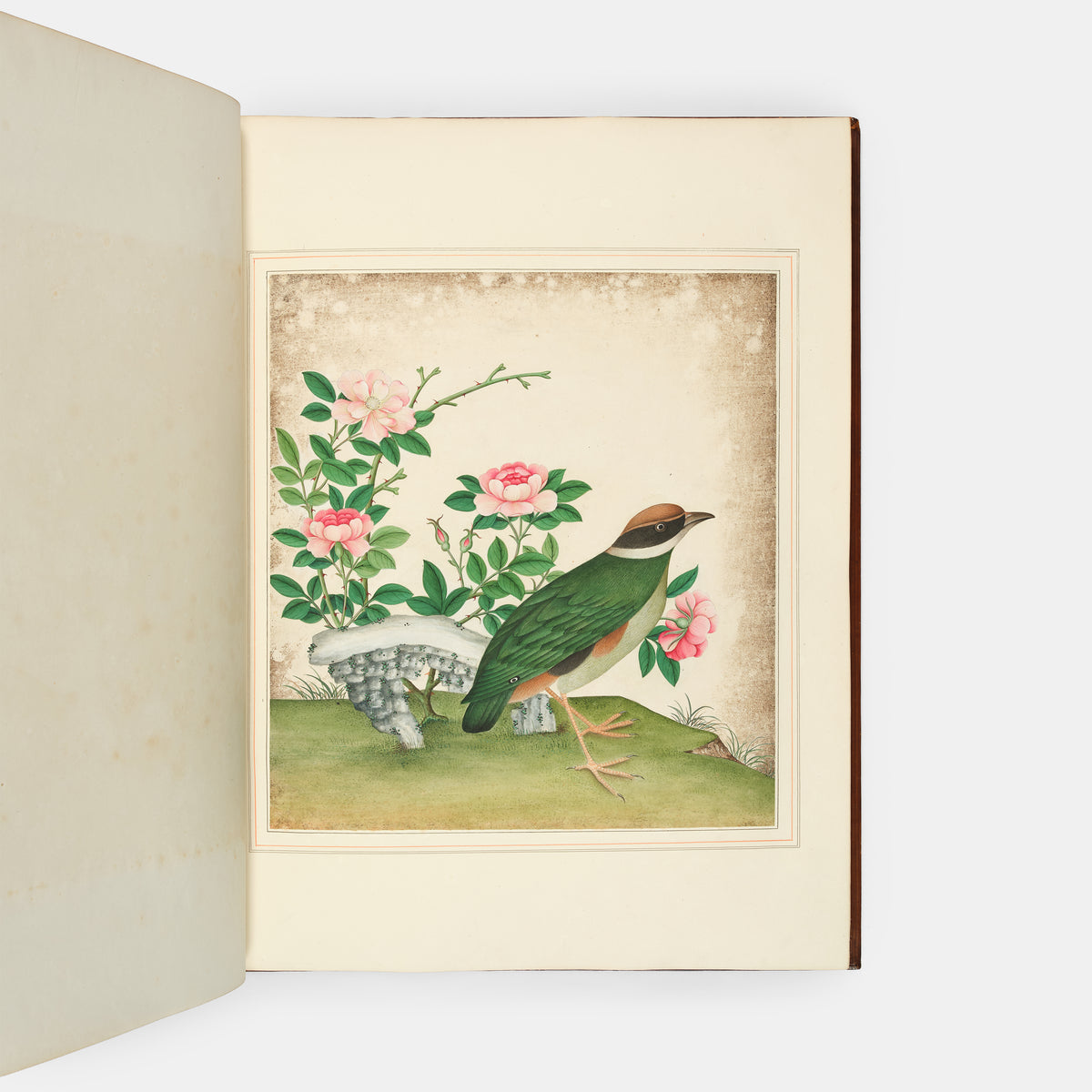 A sumptuous collection of 244 mounted watercolours depicting Chinese silkworm cultivation, birds, Asian fruits and flowers, exlibris Duke of Marlborough.