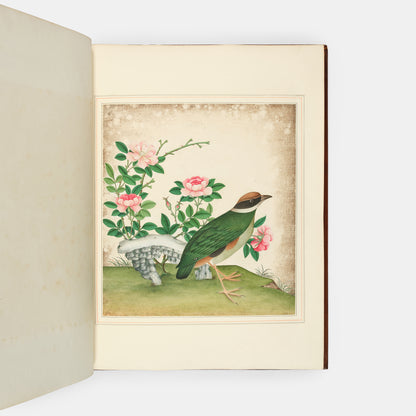 A sumptuous collection of 244 mounted watercolours depicting Chinese silkworm cultivation, birds, Asian fruits and flowers, exlibris Duke of Marlborough.